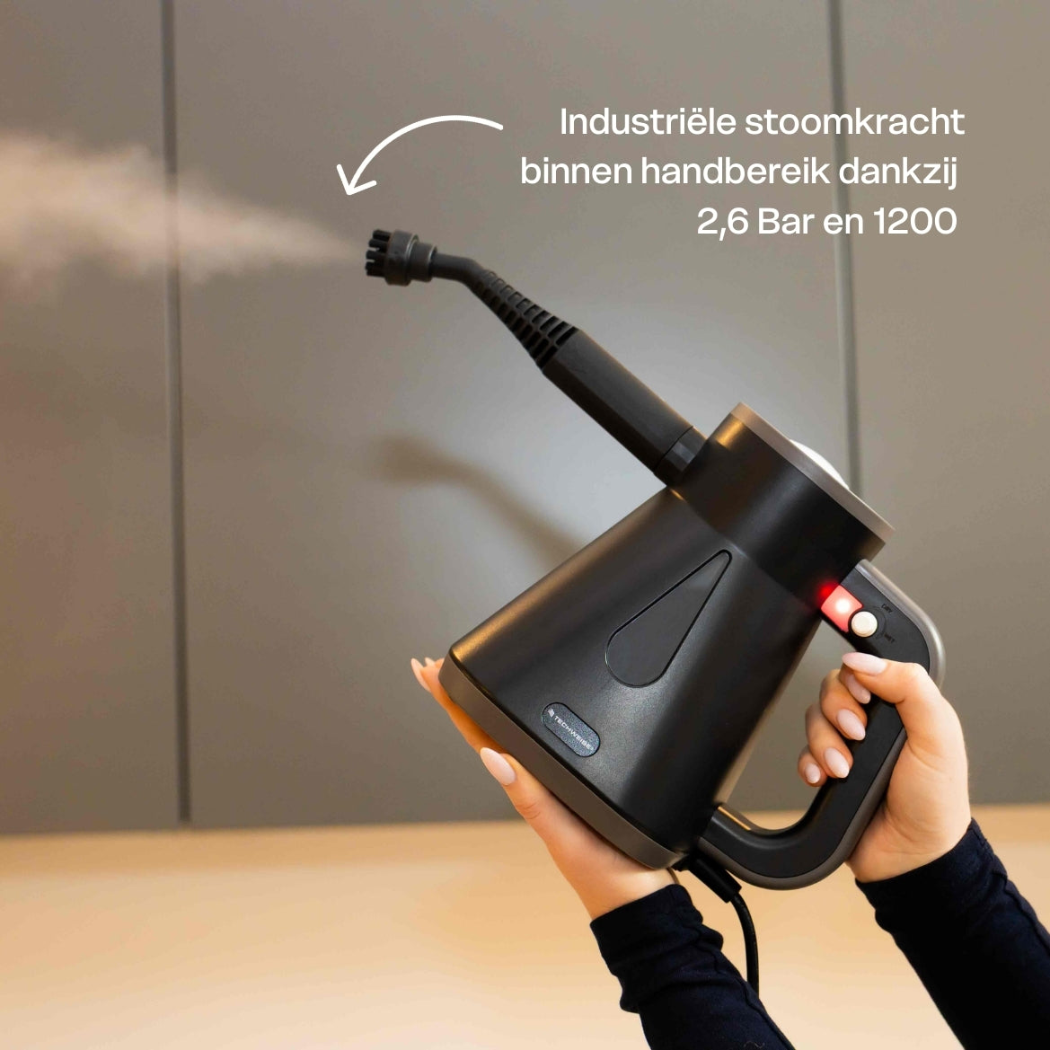 TS Compact Handheld Steam Cleaner