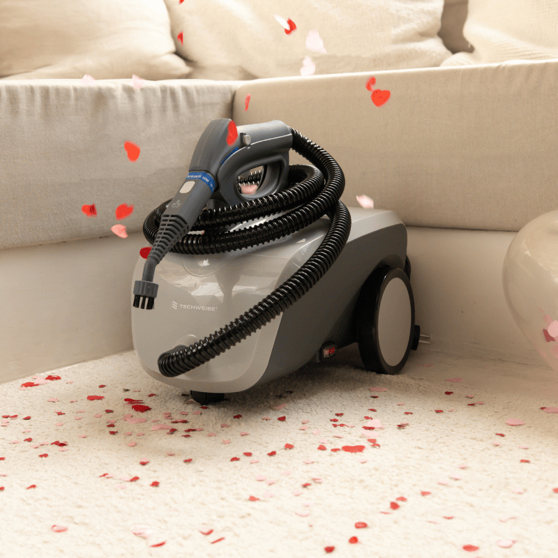 TS1 Steam Cleaner
