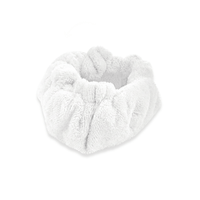 Accessoire de mobilier/rembourrage pour nettoyeurs vapeur