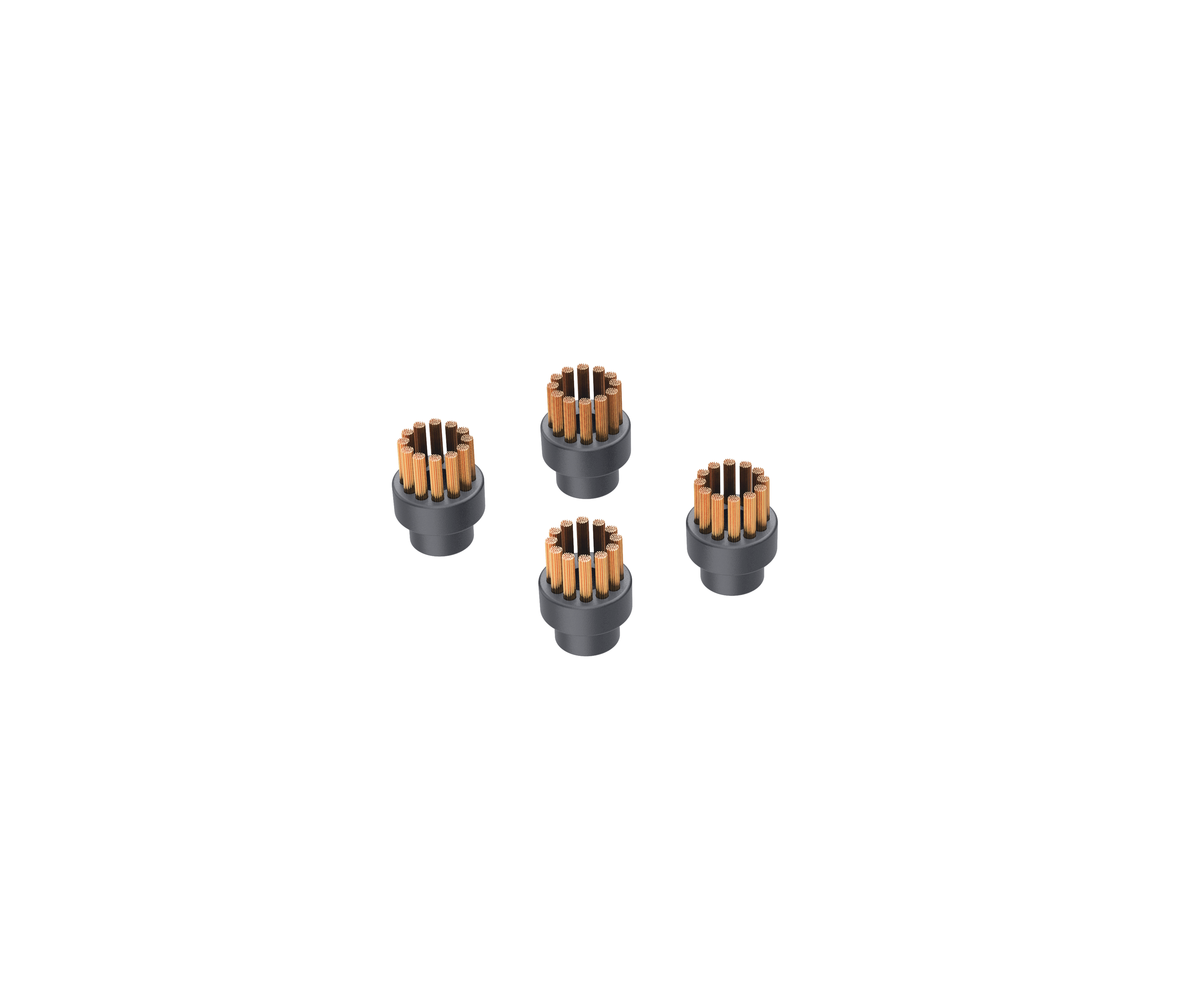 Additional set of 4 steel brushes TS1