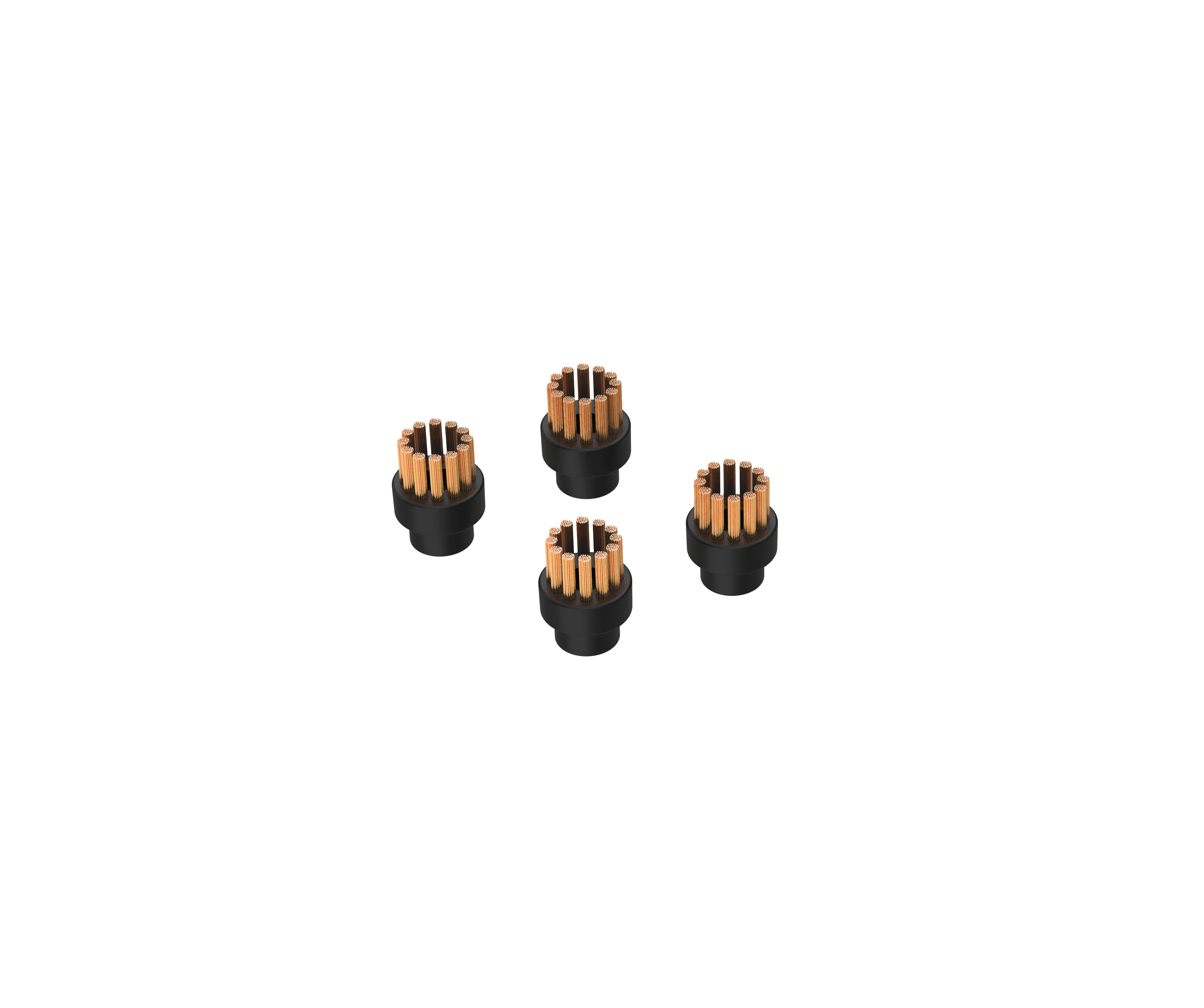 Extra set van 4 stalen borstels TS2